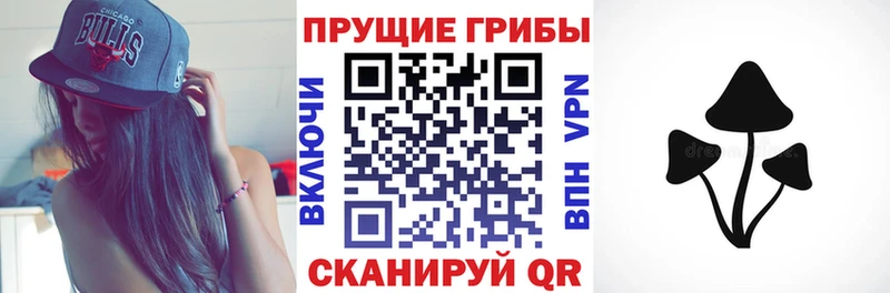 купить закладку  omg онион  Галлюциногенные грибы Cubensis  Верхний Уфалей 